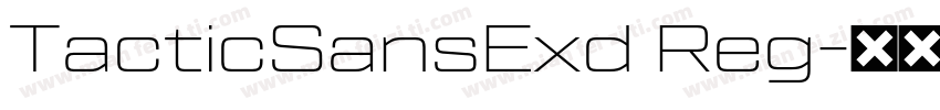 TacticSansExd Reg字体转换